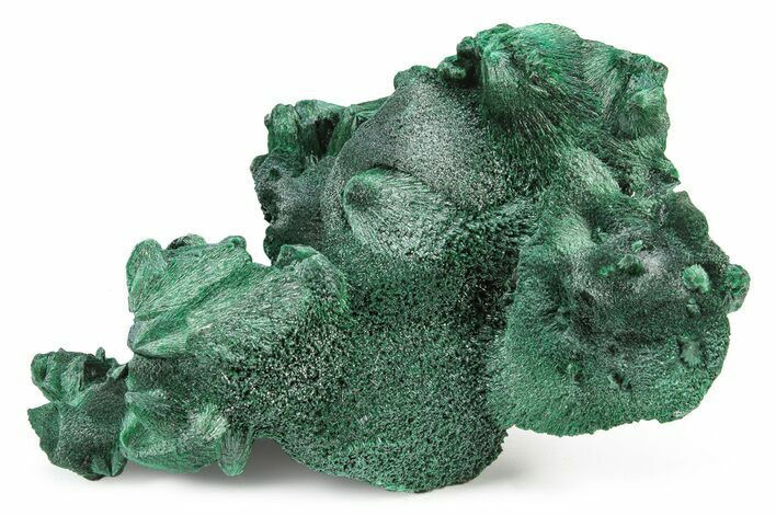 Silky, Botryoidal Malachite Cluster - Congo #250616